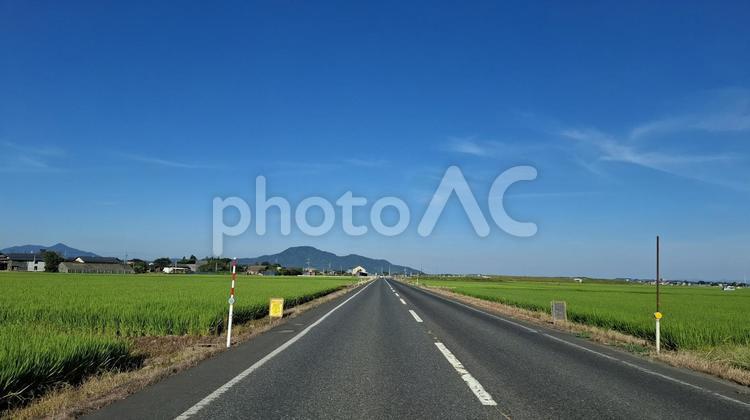 見通しの良い直線 直線,道路,自動車道の写真素材
