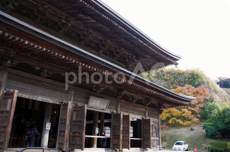 建長寺の紅葉　仏殿　（神奈川県鎌倉市） 建長寺,仏殿,お堂の写真素材