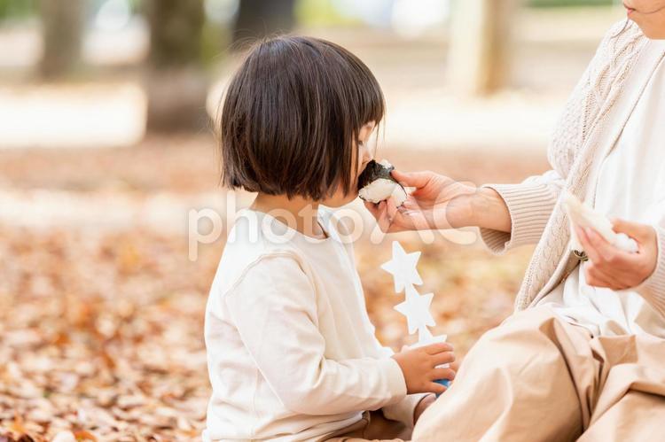 ピクニックでおにぎりを食べる子供 子供,おにぎり,食べるの写真素材