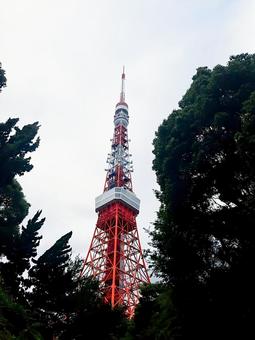 東京タワー 東京タワーの写真