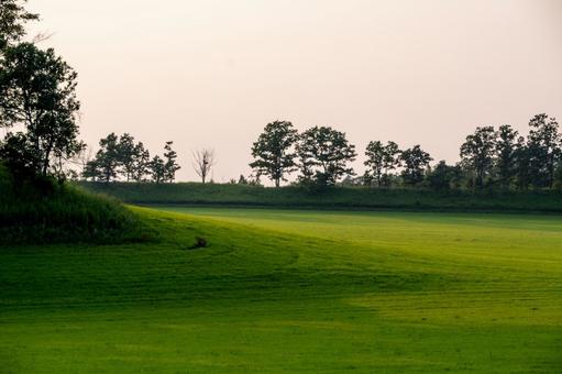 緑の絨毯、夕暮れの牧草地 緑の絨毯、夕暮れの牧草地 牧草地,丘の斜面,緑の絨毯の写真素材