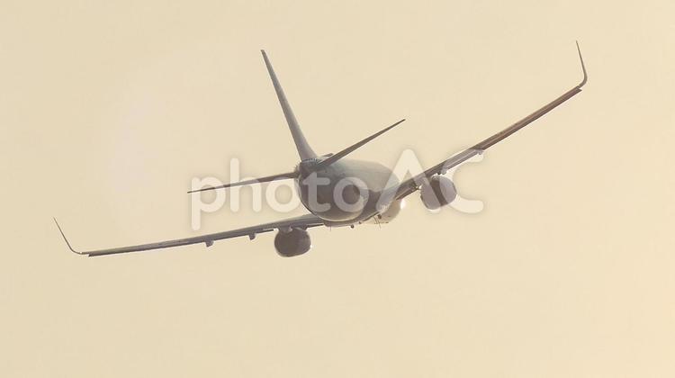 夕方に飛び去ってゆく飛行機07 飛行機,旅客機,離陸の写真素材