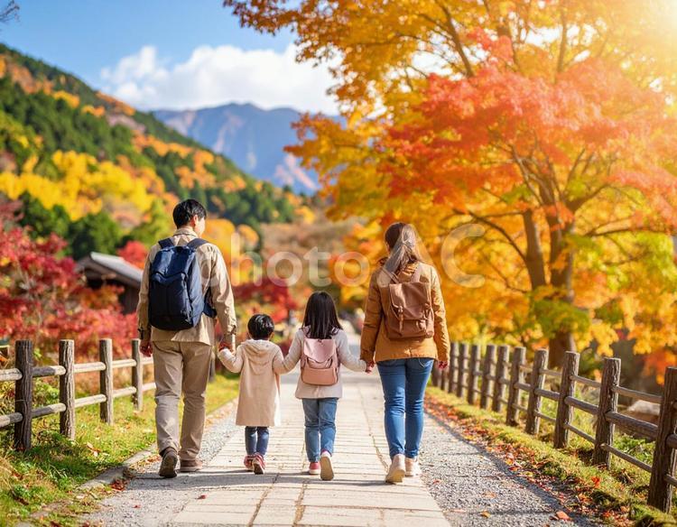 秋の紅葉の中を散歩 秋,散歩,紅葉の写真素材