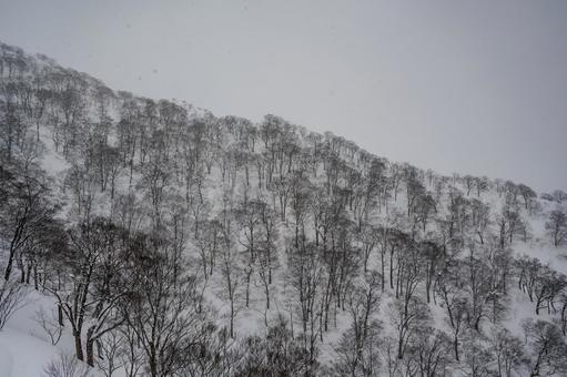 谷川岳ロープウェイから見た景色 谷川岳ロープウェイから見た景色の写真