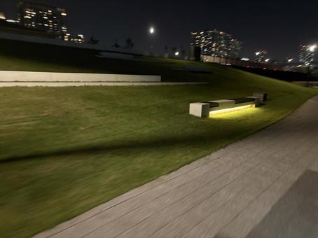 都内の土手 都内の土手の写真