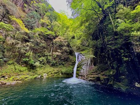 赤目四十八滝 赤目四十八滝,三重,名張の写真素材