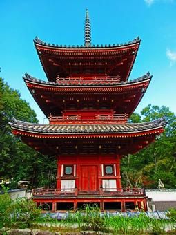 岡山県-井山宝福寺-三重塔 宝福寺,寺,井山の写真素材
