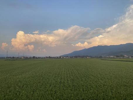 夏の夕暮れ時の東の空 夏の夕暮れ時の東の空の写真