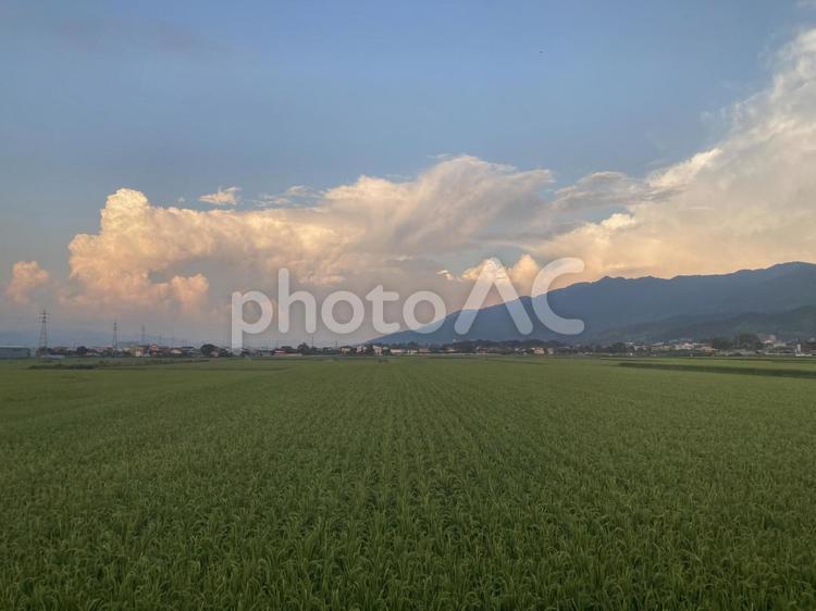 夏の夕暮れ時の東の空 夏,夕暮れ,夕焼けの写真素材