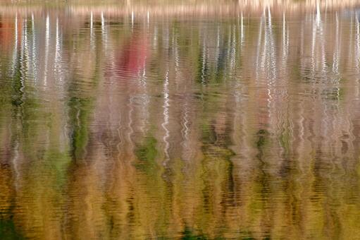 リフレクション 湖面,水面,秋の写真素材