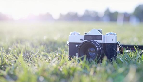 公園の芝生広場の中のカメラ 公園の芝生広場の中のカメラの写真