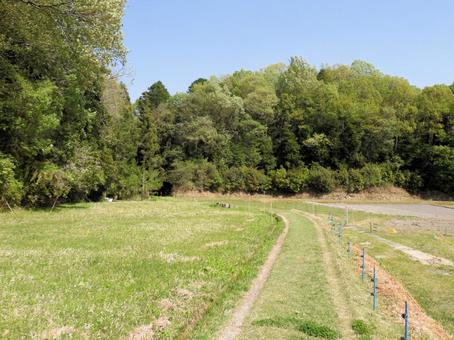 猿投山　里山 猿投山,里山,豊田市の写真素材