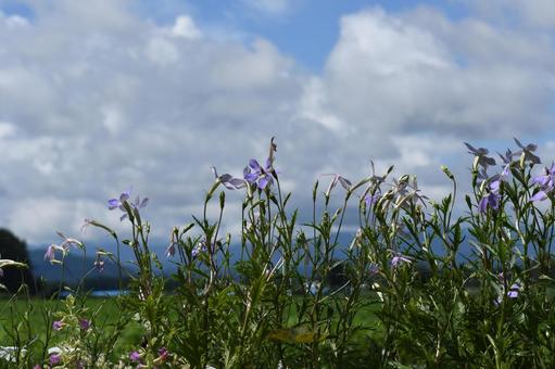 北海道の空 北海道の空の写真