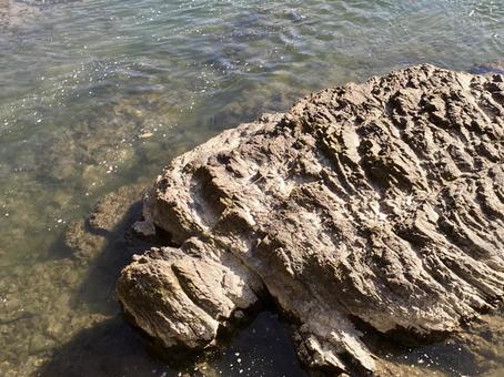 宇治川の亀石 宇治川,亀石,史跡の写真素材