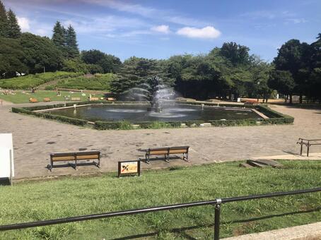 東京・世田谷公園の噴水 世田谷公園,世田谷,世田谷公園噴水の写真素材