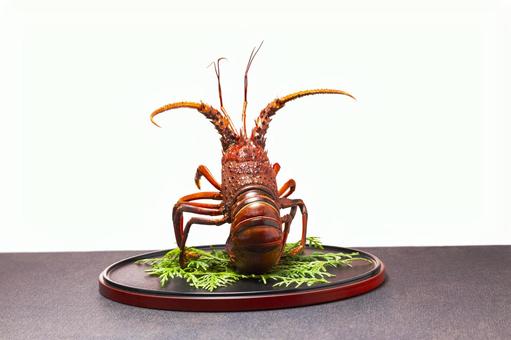 茹でた伊勢海老の飾り10 茹でた伊勢海老の飾り10 伊勢海老,エビ,正月の写真素材