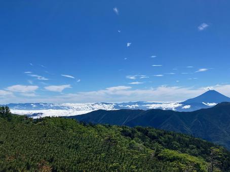 赤石岳山頂から下山7 富士山 赤石岳山頂から下山7 富士山の写真