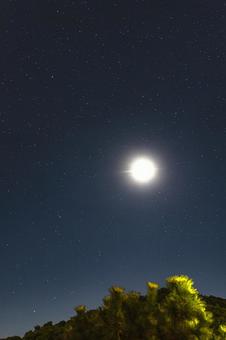 月 月,星,星空の写真素材