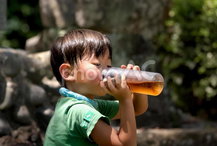 ＜素材＞公園遊び中に水筒のお茶を飲む少年 子供,男性,人物の写真素材