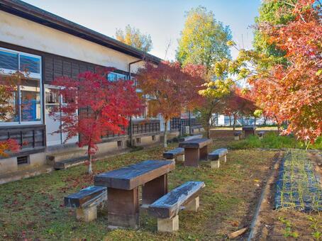 中庭の紅葉 木造校舎,風景,レトロの写真素材