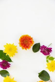 丸く置いた花 花,ガーベラ,葉の写真素材