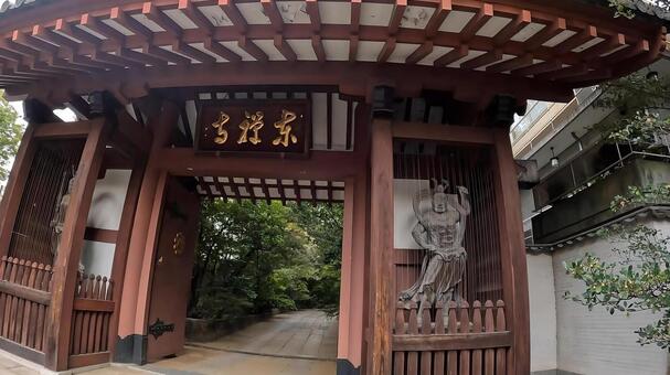 東京都港区高輪３丁目　東禅寺山門 東禅寺,山門,外観の写真素材