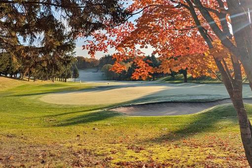 紅葉のゴルフ 紅葉,秋,紅葉狩りの写真素材