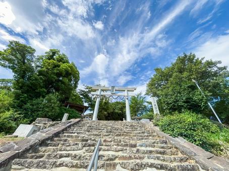 天空の鳥居 高屋神社 天空の鳥居 高屋神社の写真
