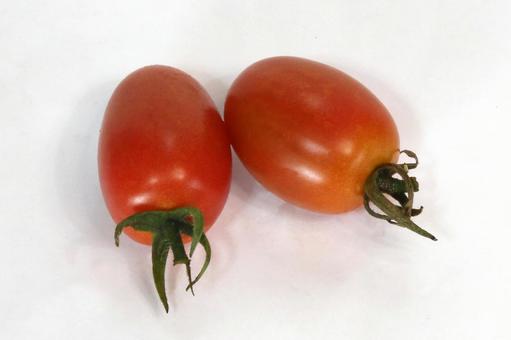 ミニトマト完熟収穫 ミニトマト完熟収穫の写真
