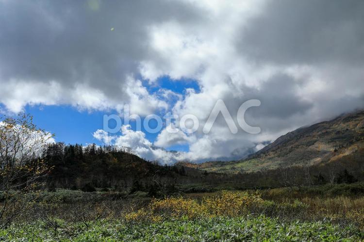 深まりゆく秋の栂池高原 自然,風景,季節の写真素材