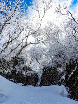 雪景色 雪景色 雪景色,雪,山の写真素材