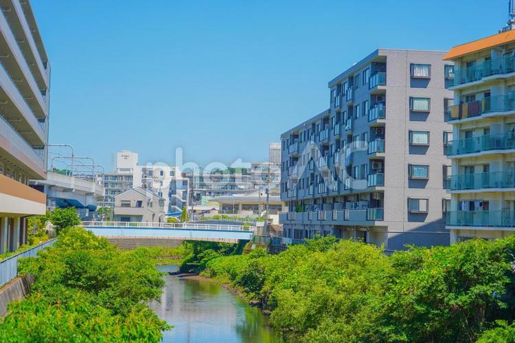 川沿いの風景 川沿い,風景,緑の写真素材