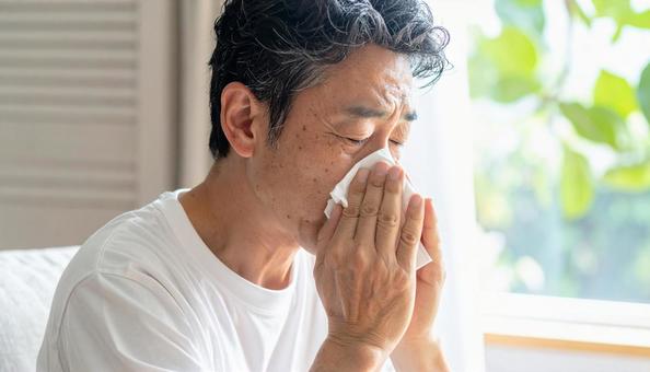 ティッシュで鼻をかむ日本人のミドル男性 ティッシュで鼻をかむ日本人のミドル男性の写真