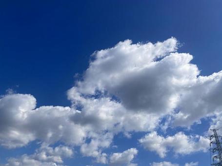大空に流れる白い雲 青空,白い雲,秋の快晴の写真素材