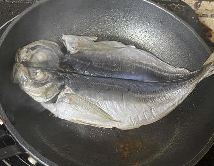アジの開き 干物 アジの開き 干物 アジの開き,焼き魚,魚の写真素材