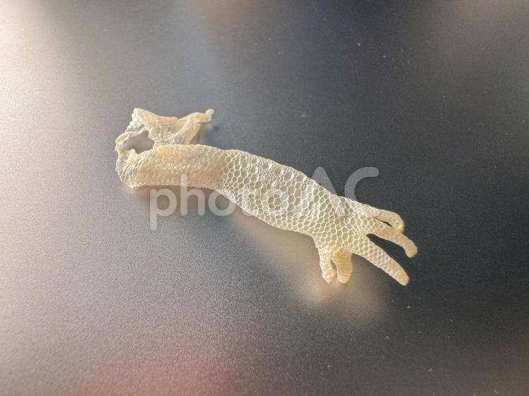 ヒョウモントカゲモドキの脱皮した皮 ヒョウモントカゲモドキ,脱皮,爬虫類の写真素材
