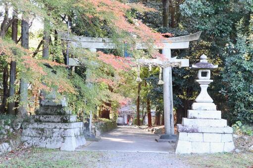 鷺森神社　鳥居 鷺森神社,鳥居,参道の写真素材