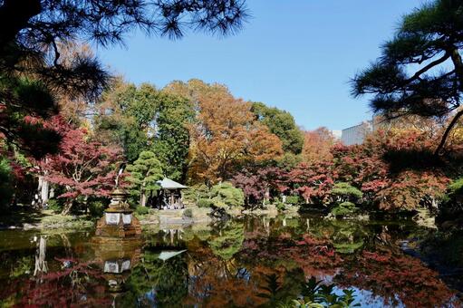 東京, 日比谷公園の紅葉 日比谷公園,紅葉,秋の写真素材