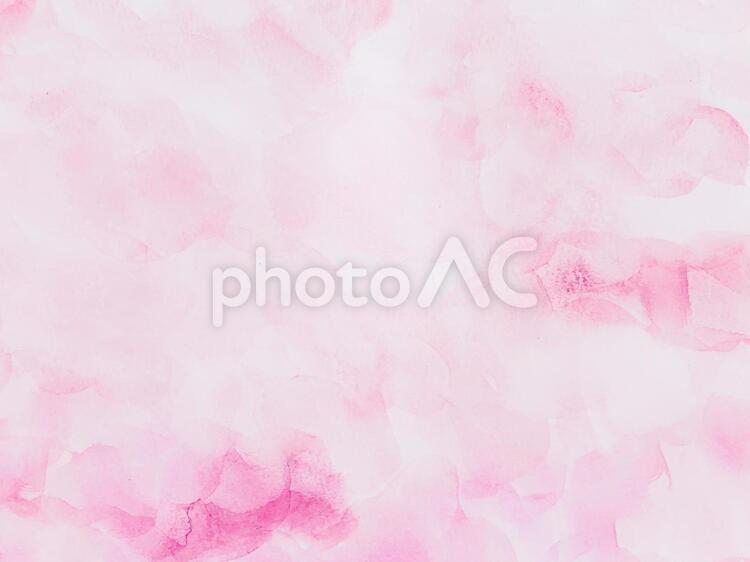 ホワイトピンクの和紙 白バック,白色バック,背景の写真素材