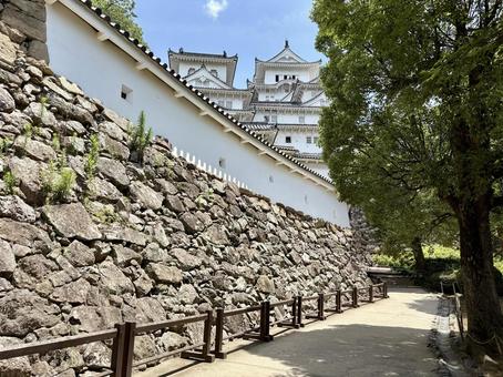 姫路城 城壁 姫路城 城壁 姫路城,城壁,兵庫の写真素材