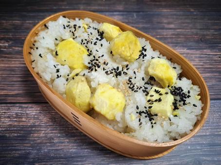 栗ごはん弁当　2 栗,秋の味覚,食欲の秋の写真素材