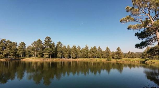 #695 風景の写真