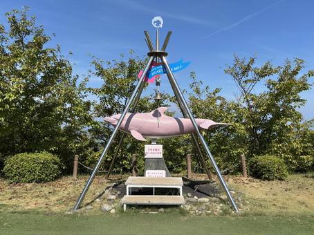 イルカ島のピンクのイルカ イルカ島のピンクのイルカ イルカ島,ピンク,イルカの写真素材