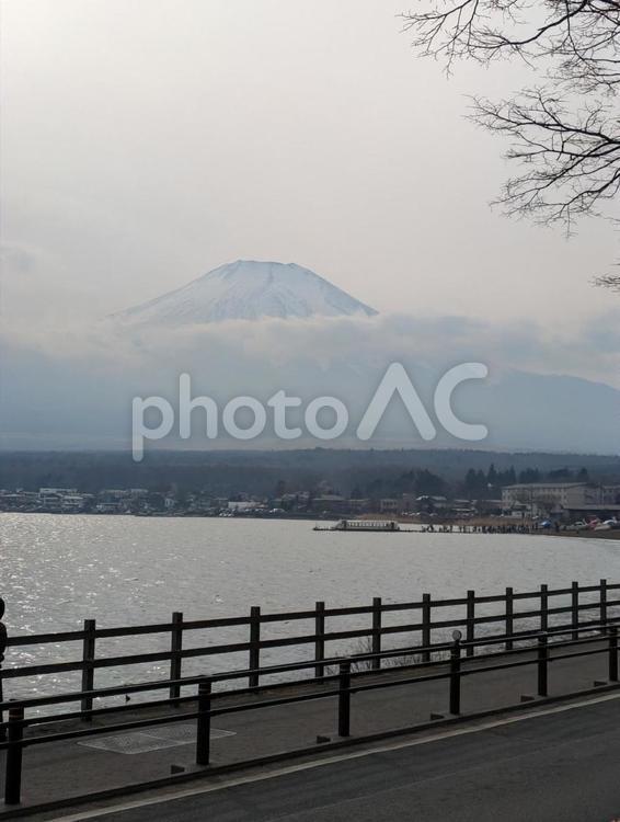 晴天の下の富士山と山中湖 湖,山中湖,富士山の写真素材