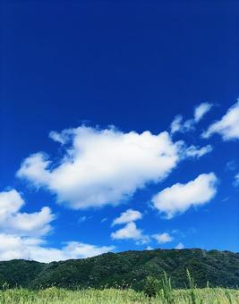 夏の青い空と白い雲 夏の青い空と白い雲の写真