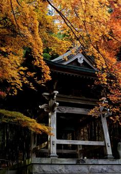 寺の紅葉 秋,もみじ,赤の写真素材