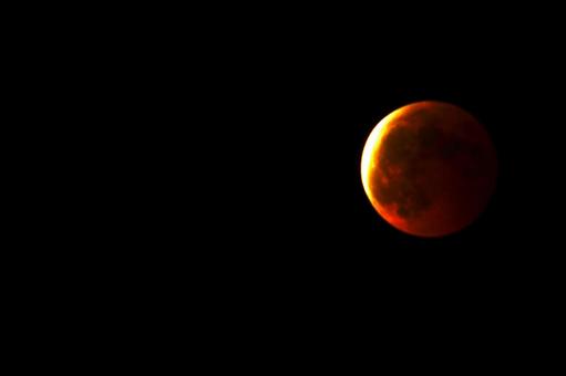 皆既月食のブラッドムーン 皆既月食のブラッドムーンの写真
