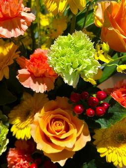 オレンジ系のお花 花,アレンジメント,オレンジの写真素材