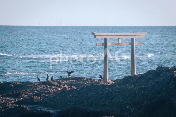 茨城県大洗町　磯前神社　神磯の鳥居 茨城県,大洗町,磯前神社の写真素材