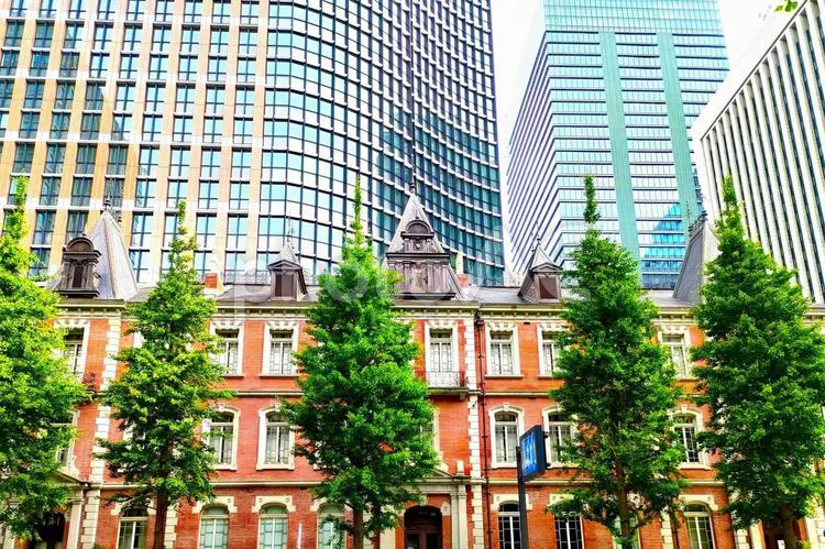 東京のビル街と新緑 東京,ビル街,風景の写真素材